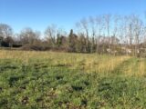 Maison à construire à Guîtres (33230) 2628239-10947annonce1202609104ChiX.jpeg Maisons France Confort