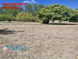 Maison à construire à Arbanats (33640) 2628227-3601annonce1202609104CPSF.jpeg Maisons France Confort