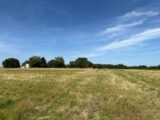 Terrain à bâtir à Vacquiers (31340) 2625354-11356annonce4202609081Vg7S.jpeg Maisons France Confort