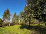 Terrain à bâtir à Pessac (33600) 2628984-11383annonce320260910l1X9d.jpeg Maisons France Confort