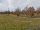 Maison à construire à Bérat (31370) 2626688-6043annonce120260909sBVQl.jpeg Maisons France Confort