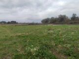 Terrain à bâtir à Salles-d’Aude (11110) 2628700-11782annonce220260910HrMF8.jpeg Maisons France Confort