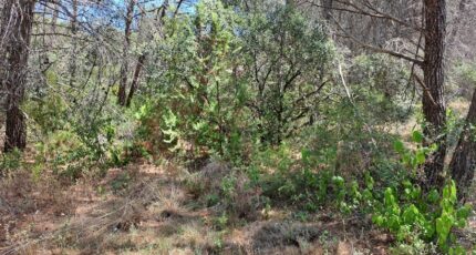 Lambesc Maison neuve - 2629596-11041annonce220260911Pz8Gw.jpeg Maisons France Confort