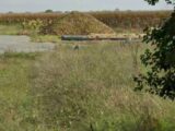 Maison à construire à Anais (17540) 2567814-11636annonce120260629pm0Fi.jpeg Maisons France Confort