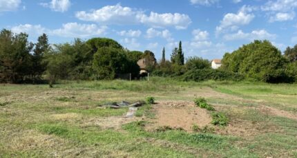 Morières-lès-Avignon Maison neuve - 2629686-3969annonce1202609116PTPd.jpeg Maisons France Confort