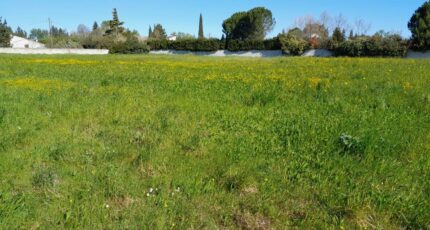 L'Isle-sur-la-Sorgue Maison neuve - 2629915-695annonce420260911DqtLn.jpeg Maisons France Confort