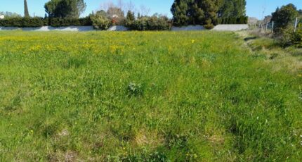 L'Isle-sur-la-Sorgue Maison neuve - 2629923-695annonce220260911ZT22G.jpeg Maisons France Confort