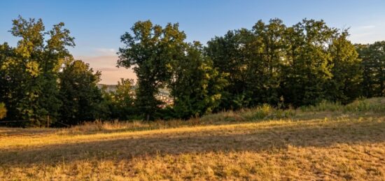Terrain à bâtir à Notre-Dame-de-Sanilhac, Nouvelle-Aquitaine