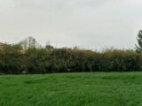Terrain à bâtir à Carbonne (31390) 2626871-6043annonce120260909EkAqh.jpeg Maisons France Confort