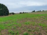 Terrain à bâtir à Écurie (62223) 2599643-4439annonce220260810lhtvf.jpeg Maisons France Confort
