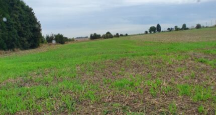 Écurie Terrain à bâtir - 2599643-4439annonce220260810lhtvf.jpeg Maisons France Confort
