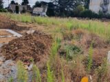 Maison à construire à Écurie (62223) 2599655-4439annonce120260810A0VK4.jpeg Maisons France Confort