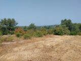 Terrain à bâtir à Fréjus (83600) 2551615-11157annonce220260616rDe2W.jpeg Maisons France Confort