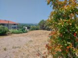 Terrain à bâtir à Fréjus (83600) 2551615-11157annonce420260616fhqU4.jpeg Maisons France Confort