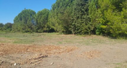 Morières-lès-Avignon Maison neuve - 2632462-695annonce320260914BzFXy.jpeg Maisons France Confort