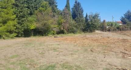 Morières-lès-Avignon Maison neuve - 2632461-695annonce1202609146yyy3.jpeg Maisons France Confort