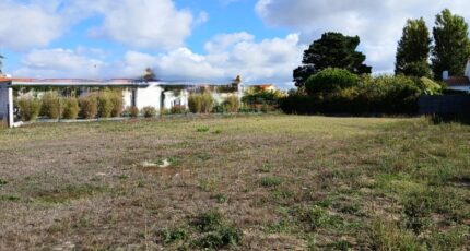 Château-d'Olonne Terrain à bâtir - 2632114-11931annonce220260914qFXbn.jpeg Maisons France Confort