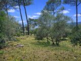 Terrain à bâtir à Garéoult (83136) 2629764-11137annonce220260911utd7C.jpeg Maisons France Confort