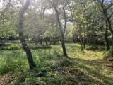 Terrain à bâtir à Forcalqueiret (83136) 2629796-11137annonce2202605058SysZ.jpeg Maisons France Confort