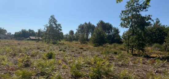 Terrain à bâtir à Salles, Nouvelle-Aquitaine