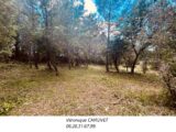 Terrain à bâtir à Flayosc (83780) 2630627-4529annonce120260911OhrTK.jpeg Maisons France Confort