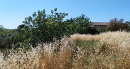 Lorgues Maison neuve - 2572220-10025annonce420260702OcWFy.jpeg Maisons France Confort