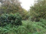Terrain à bâtir à Bullion (78830) 2632484-11790annonce220260914Kxlse.jpeg Maisons France Confort