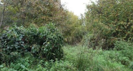 Bullion Terrain à bâtir - 2632484-11790annonce220260914Kxlse.jpeg Maisons France Confort