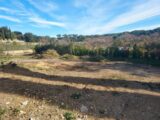 Terrain à bâtir à Carcès (83570) 2633255-11137annonce42026091457myh.jpeg Maisons France Confort
