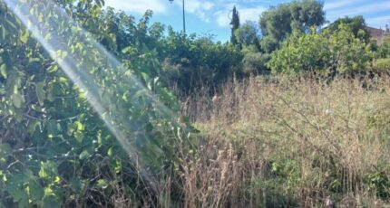 La Farlède Terrain à bâtir - 2633558-5922annonce420260915XhTsX.jpeg Maisons France Confort