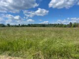 Maison à construire à Martillac (33650) 2630260-10677annonce120260911z5Tdu.jpeg Maisons France Confort