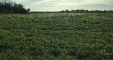 Bouglon Maison neuve - 2635122-11292annonce120260915dMcIk.jpeg Maisons France Confort