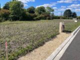 Maison à construire à Pugnac (33710) 2635118-11252annonce120260915VNUqd.jpeg Maisons France Confort