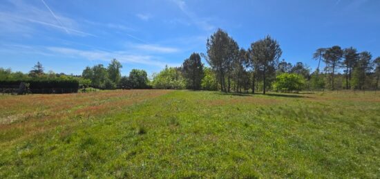 Terrain à bâtir à Aubie-et-Espessas, Nouvelle-Aquitaine