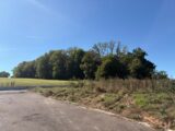 Terrain à bâtir à Wentzwiller (68220) 2635318-11939annonce120260915w58NT.jpeg Maisons France Confort