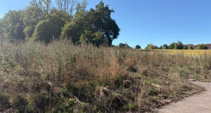 Wentzwiller Terrain à bâtir - 2635318-11939annonce320260915hQWdw.jpeg Maisons France Confort