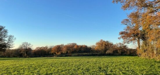 Terrain à bâtir à Aubigny-sur-Nère, Centre-Val de Loire