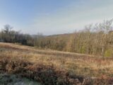 Terrain à bâtir à Vitrac (24200) 2636833-11294annonce120260916pTFBi.jpeg Maisons France Confort