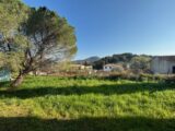 Terrain à bâtir à Carqueiranne (83320) 2635640-9707annonce120260916JOw73.jpeg Maisons France Confort