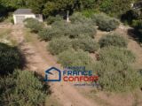 Terrain à bâtir à Flassans-sur-Issole (83340) 2562400-3951annonce220260624znbn0.jpeg Maisons France Confort
