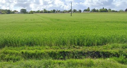Grézac Terrain à bâtir - 2635717-7092annonce120260916qTART.jpeg Maisons France Confort