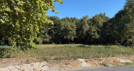 Martillac Maison neuve - 2634254-11954annonce1202609149zEEv.jpeg Maisons France Confort