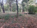Terrain à bâtir à Solliès-Pont (83210) 2635654-5922annonce220260916eeK1A.jpeg Maisons France Confort