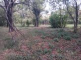 Terrain à bâtir à Solliès-Pont (83210) 2635654-5922annonce320260916hrcVH.jpeg Maisons France Confort