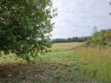 Maison à construire à Pontivy (56300) 2634846-11983annonce220260915Z8aM5.jpeg Maisons France Confort