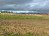 Terrain à bâtir à Cerisé (61000) 2572685-3704annonce120260703T73Rv.jpeg Maisons France Confort