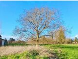 Terrain à bâtir à Bienvillers-au-Bois (62111) 2601670-4439annonce120260813CPzph.jpeg Maisons France Confort