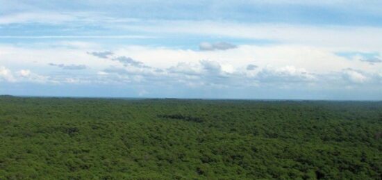 Terrain à bâtir à , Gironde