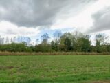 Terrain à bâtir à Camphin-en-Carembault (59133) 2586902-1807annonce220260721tLzRh.jpeg Maisons France Confort