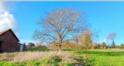 Bienvillers-au-Bois Maison neuve - 2601682-4439annonce120260813CPzph.jpeg Maisons France Confort